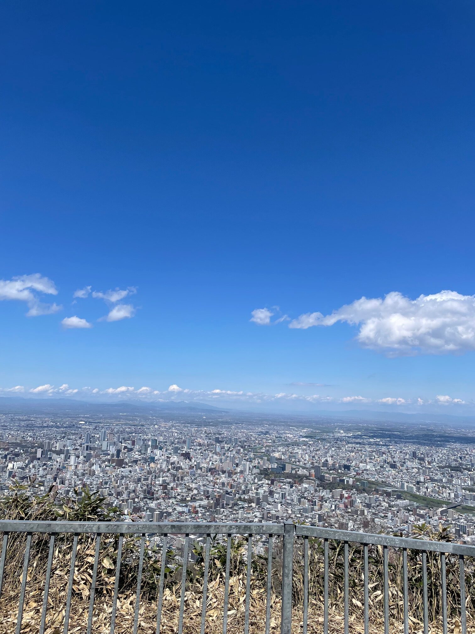 藻岩山登りはじめ